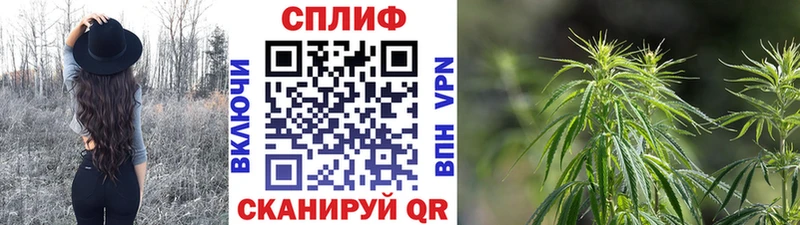 Купить где  Михайловка  Конопля THC 21% 